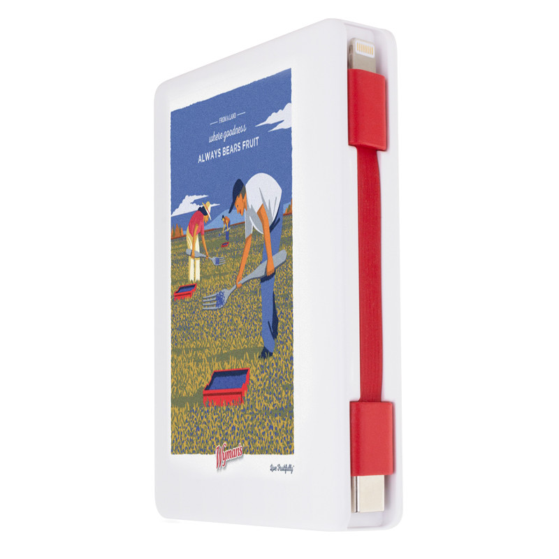 5000mAh UL Listed Power Bank with One Cable™ 58