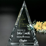 Palisade Award 2