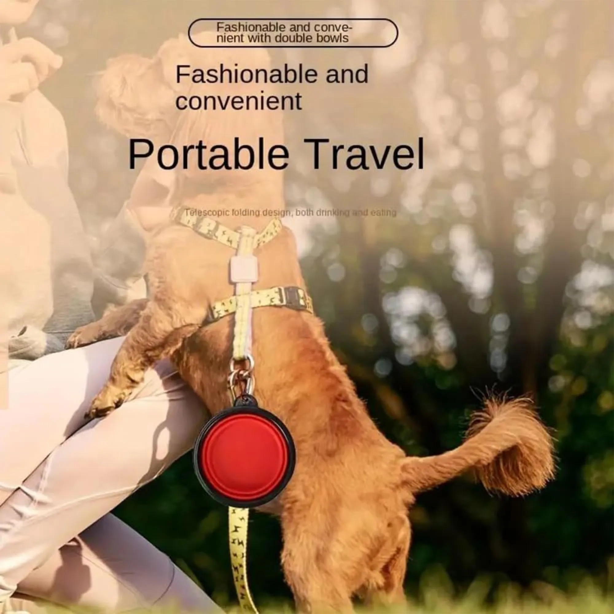 Collapsible Pet Bowl 7