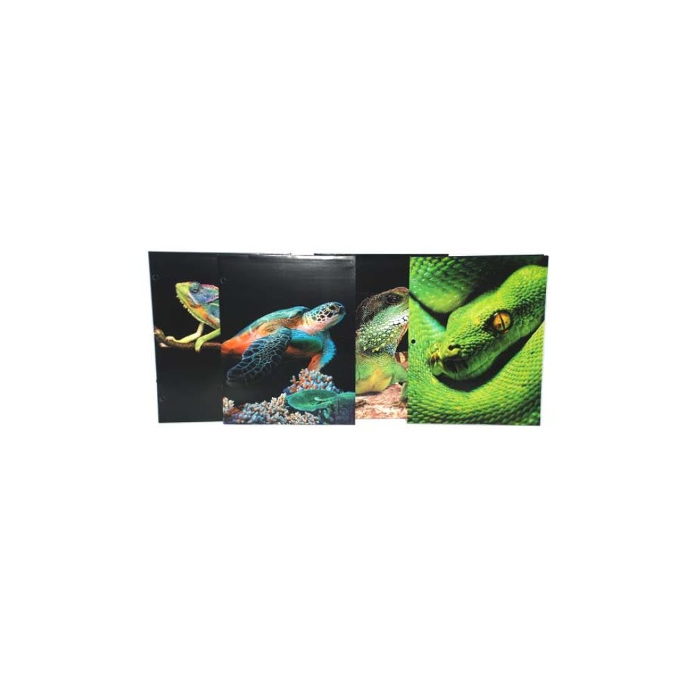 2-Pocket Folders - Reptiles 1