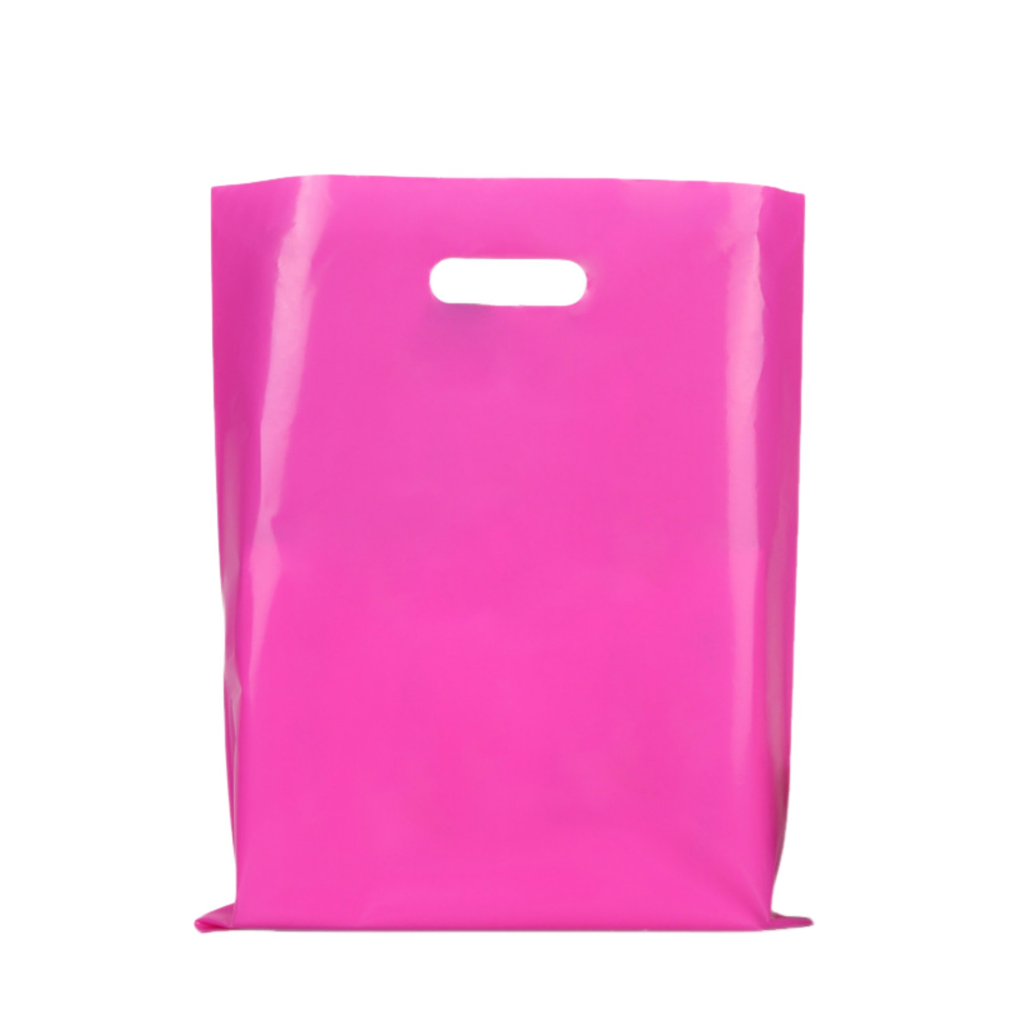 Polyethylene Die Cut Plastic Bag 9.8" x 13.8" 6