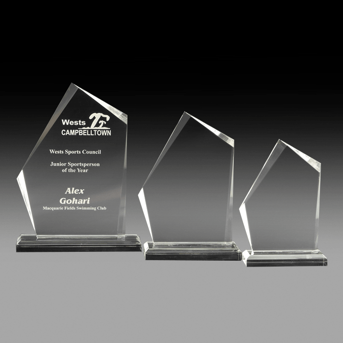 Eccentric Acrylic Trophy on Base 2