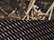 Realtree Max7- Brown