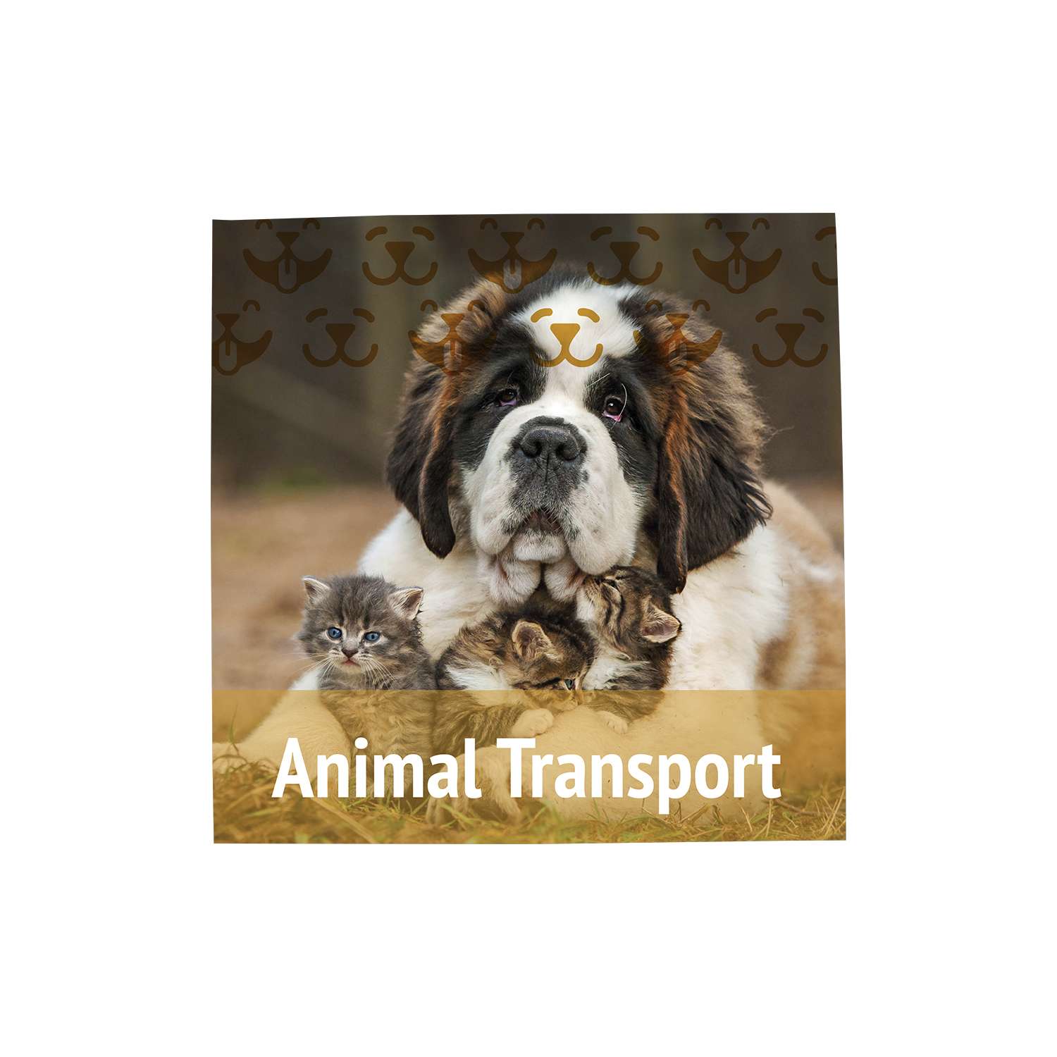 18" x 18" Magnet Promo Sign