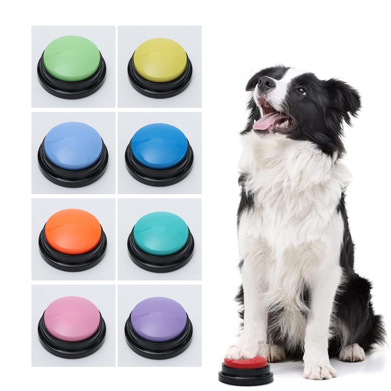 Pet Talking Button Recorder Easy Sound Buttons 3