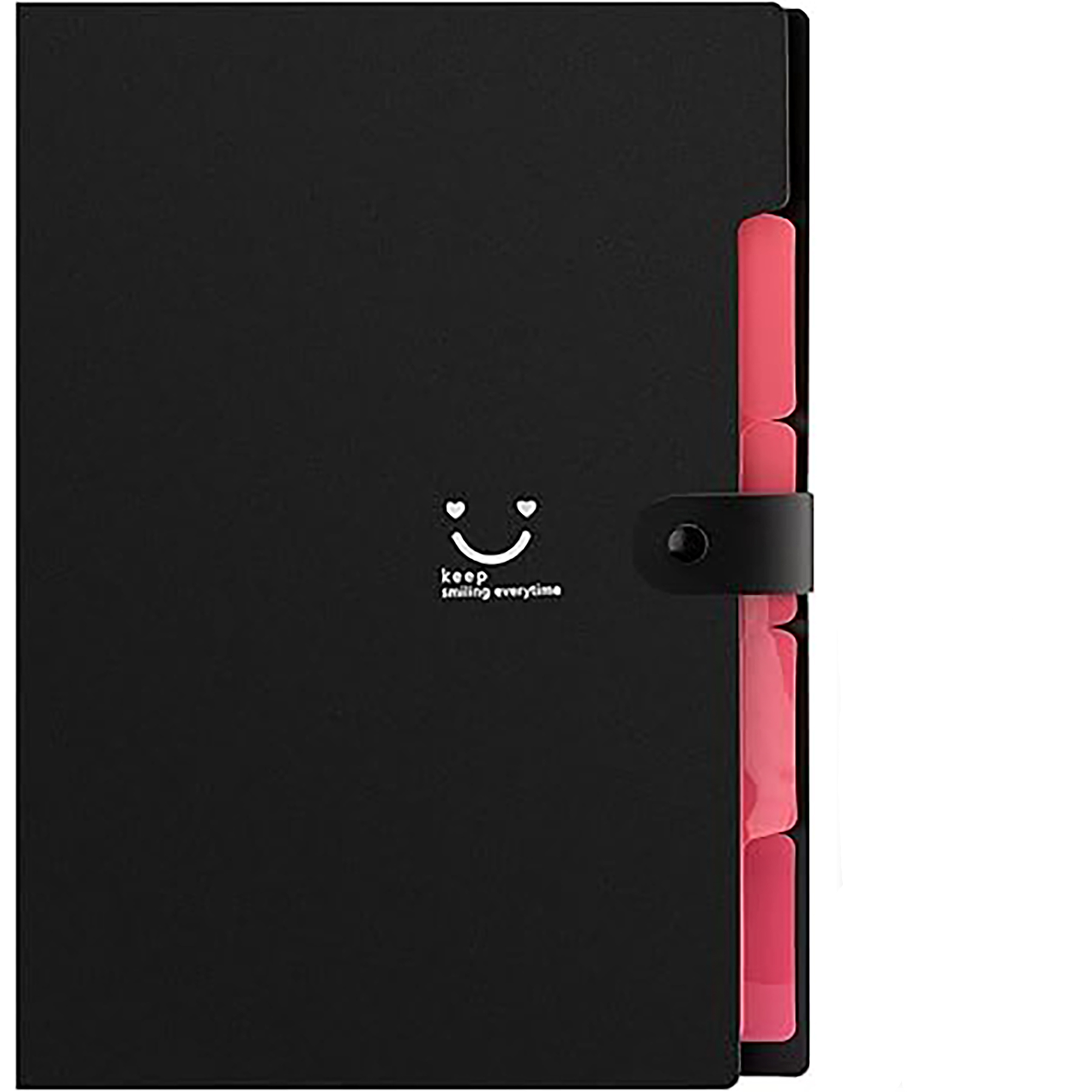 File Organizer with Labels 9