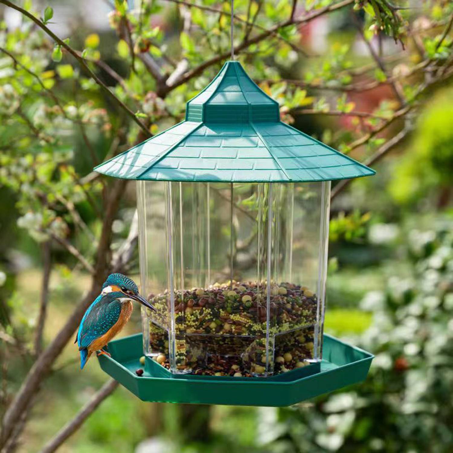 Outdoor Hanging Automatic Bird Feeder 2