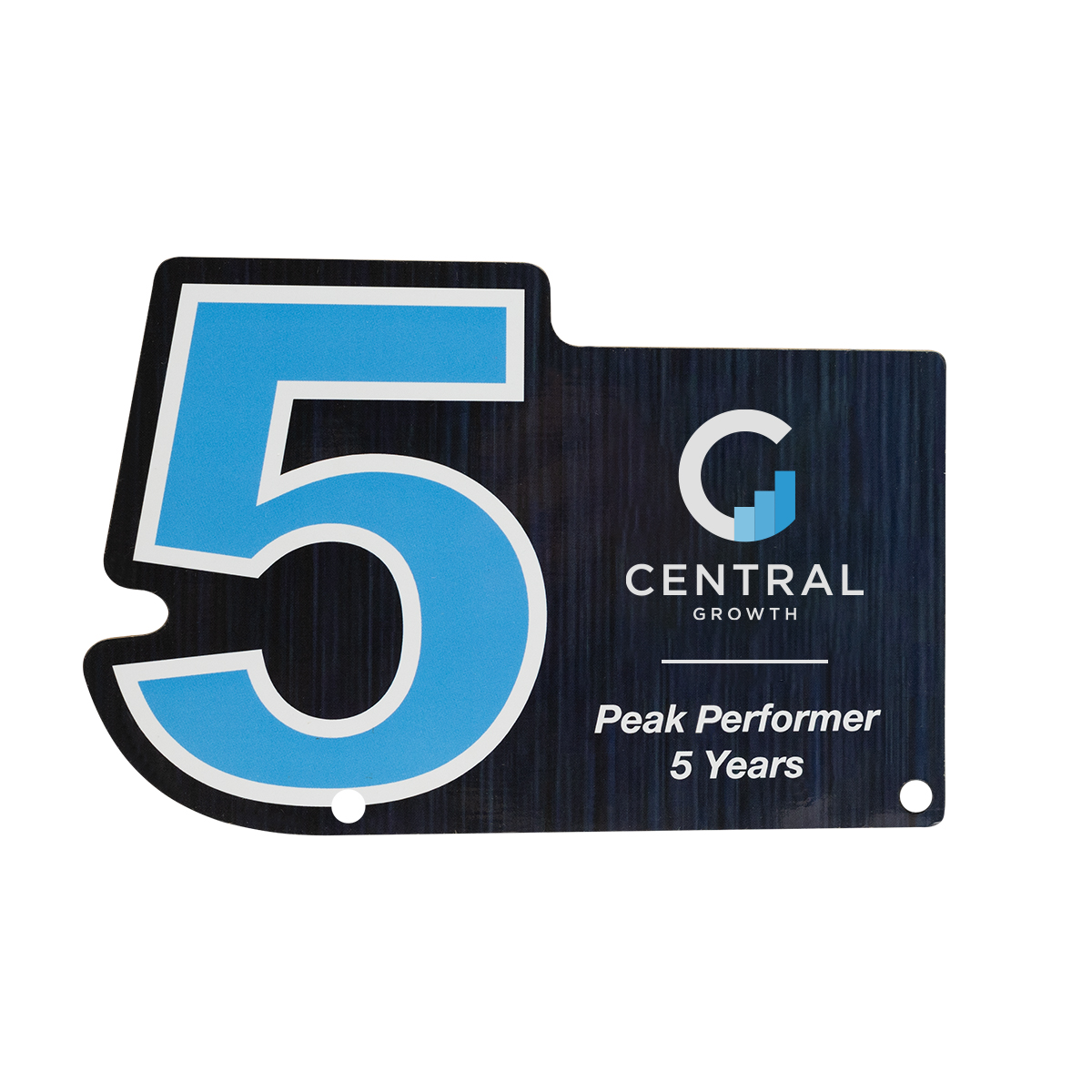Acrylic Award - Custom Shape 10" 2