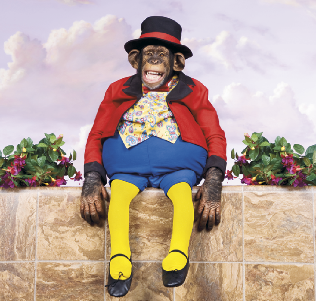 Triumph® Calendars Monkey Business Calendar 10