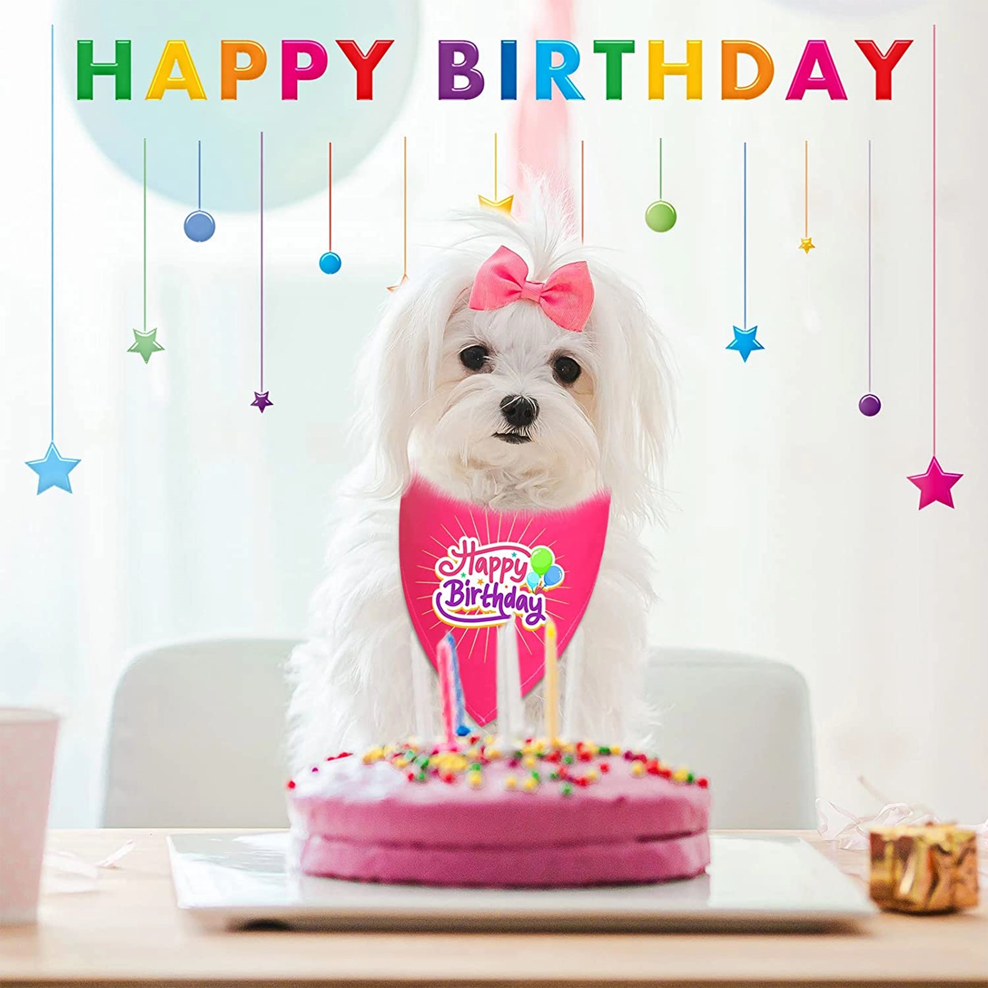 Sublimation Pet Triangular Scarf Kerchief MOQ50 1