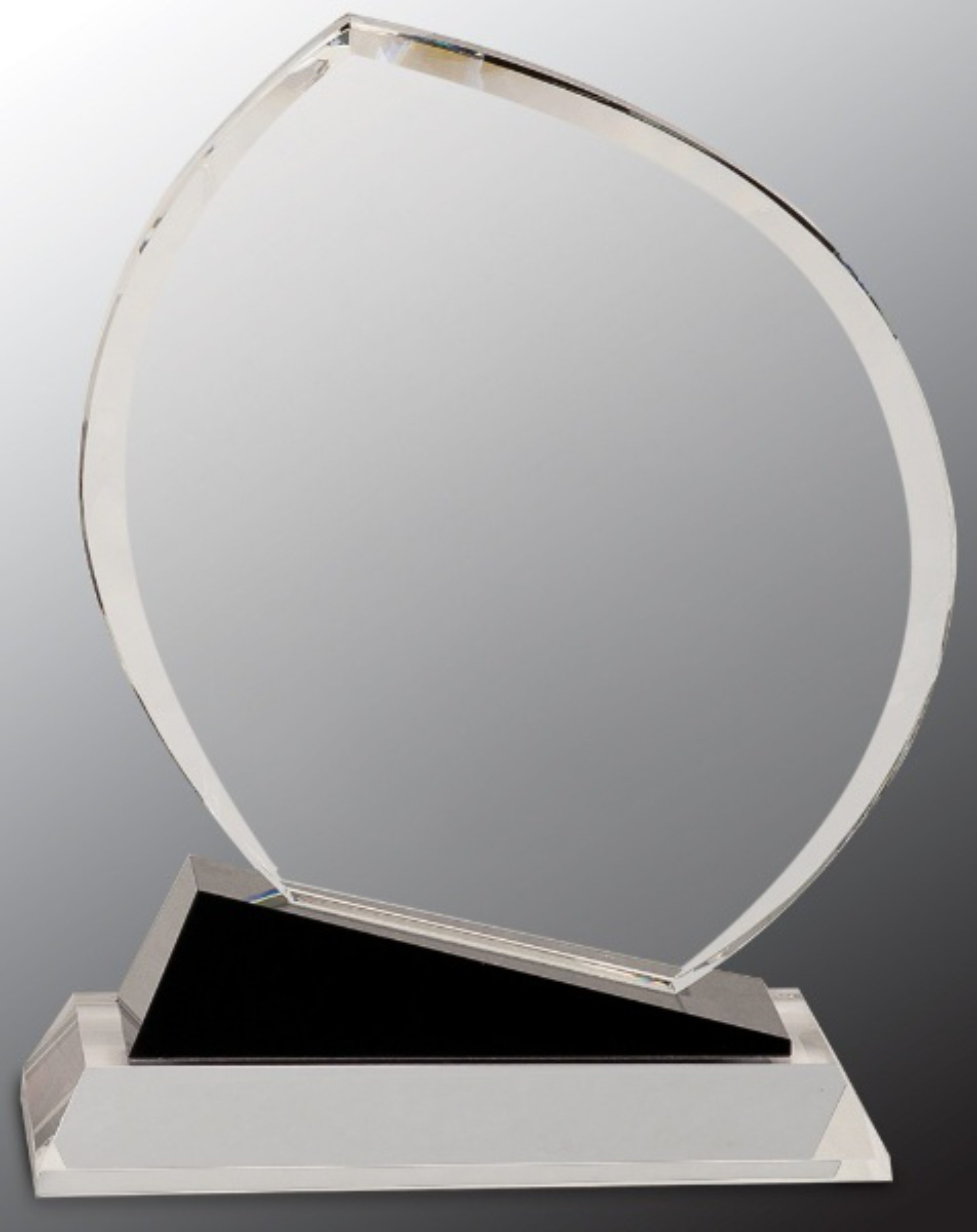 9 1/2" Crystal Award Oblong with Black Accents 4