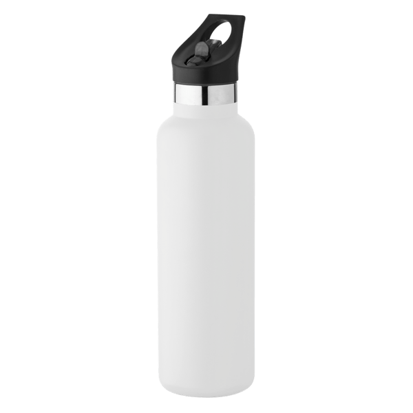 20 oz Basecamp Mesa Tundra Bottle with Screw Top and Flip-Top Straw Lid 24