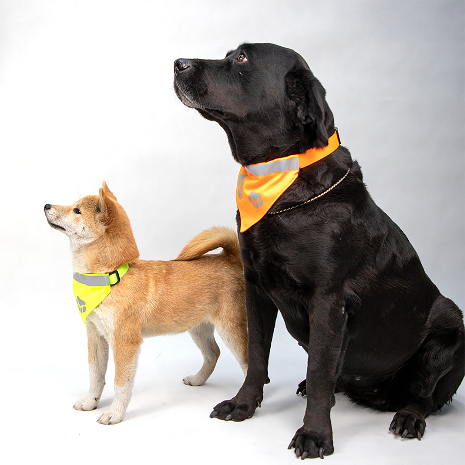 Adjustable Reflective Pet Bandana 4