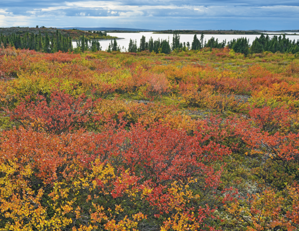 Good Value™ Scenic Canada - Window Calendar 47