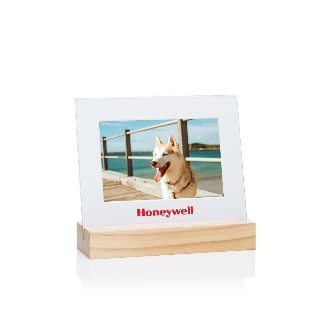 Bassan Frame 16