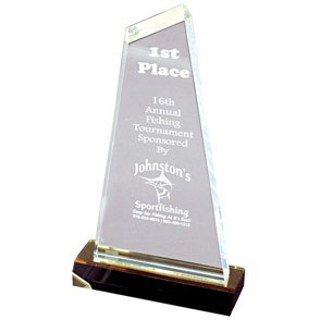 Optima Reflection Award (5"x10") 2