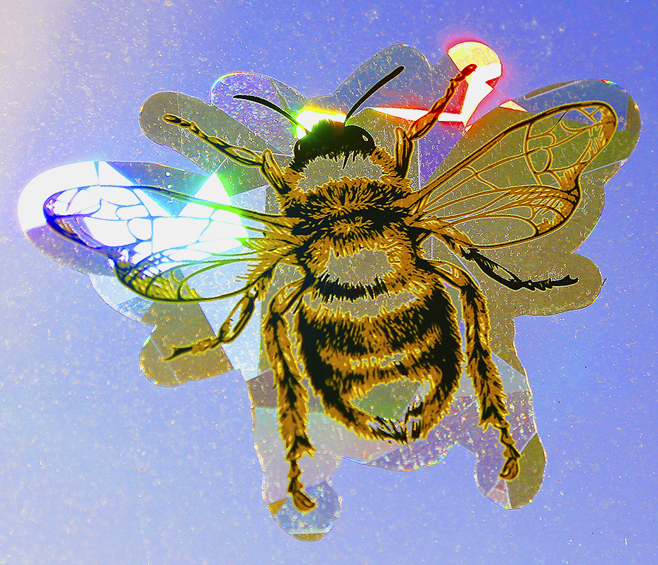 Window Decals - Butterfly Sun Catchers - Holographic Rainbow Window Stickers 1