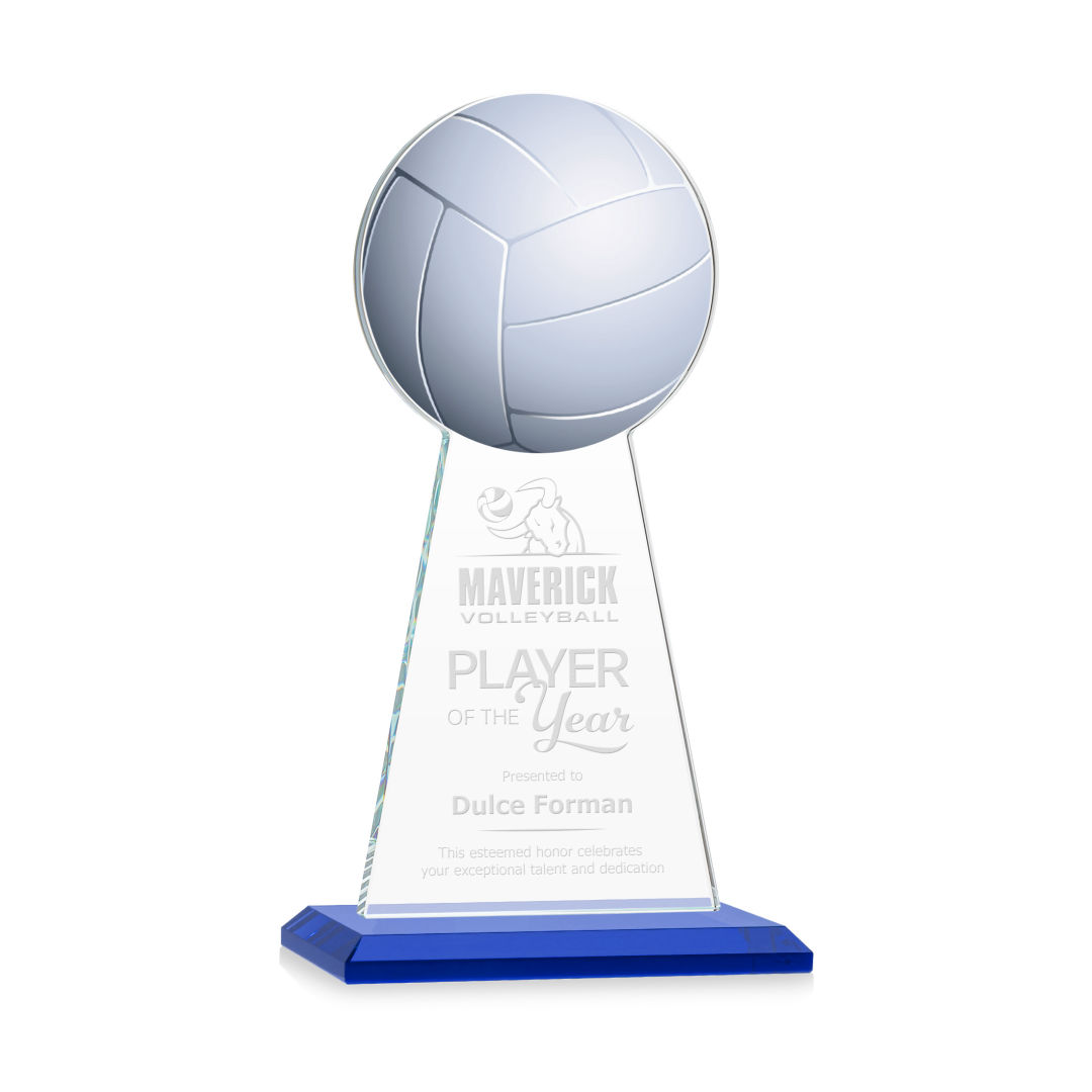 Edenwood Volleyball Award - Blue 1