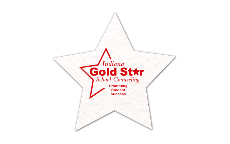 Star Shammy Coaster 2