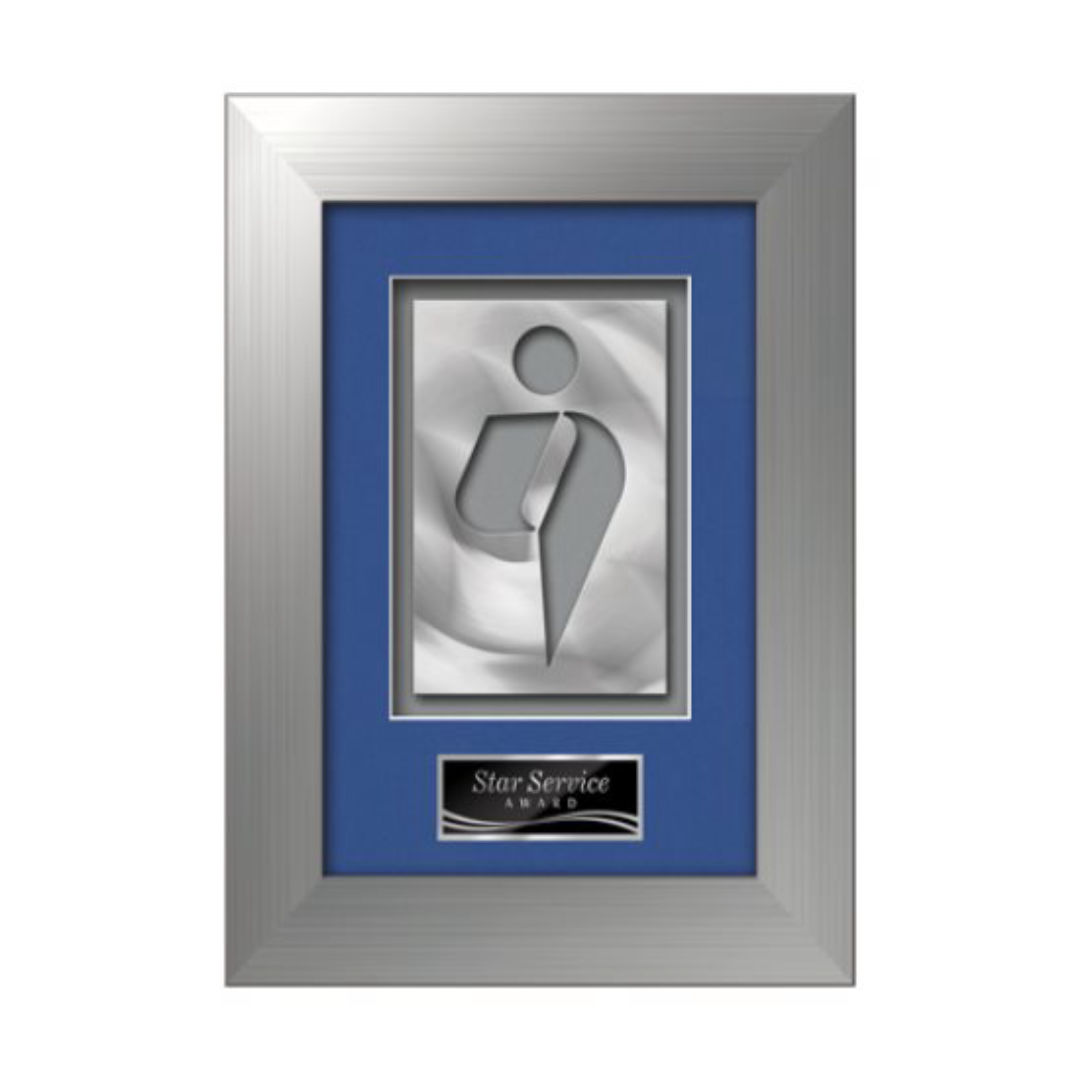 Premier Aquashape™ Award - Silver 2