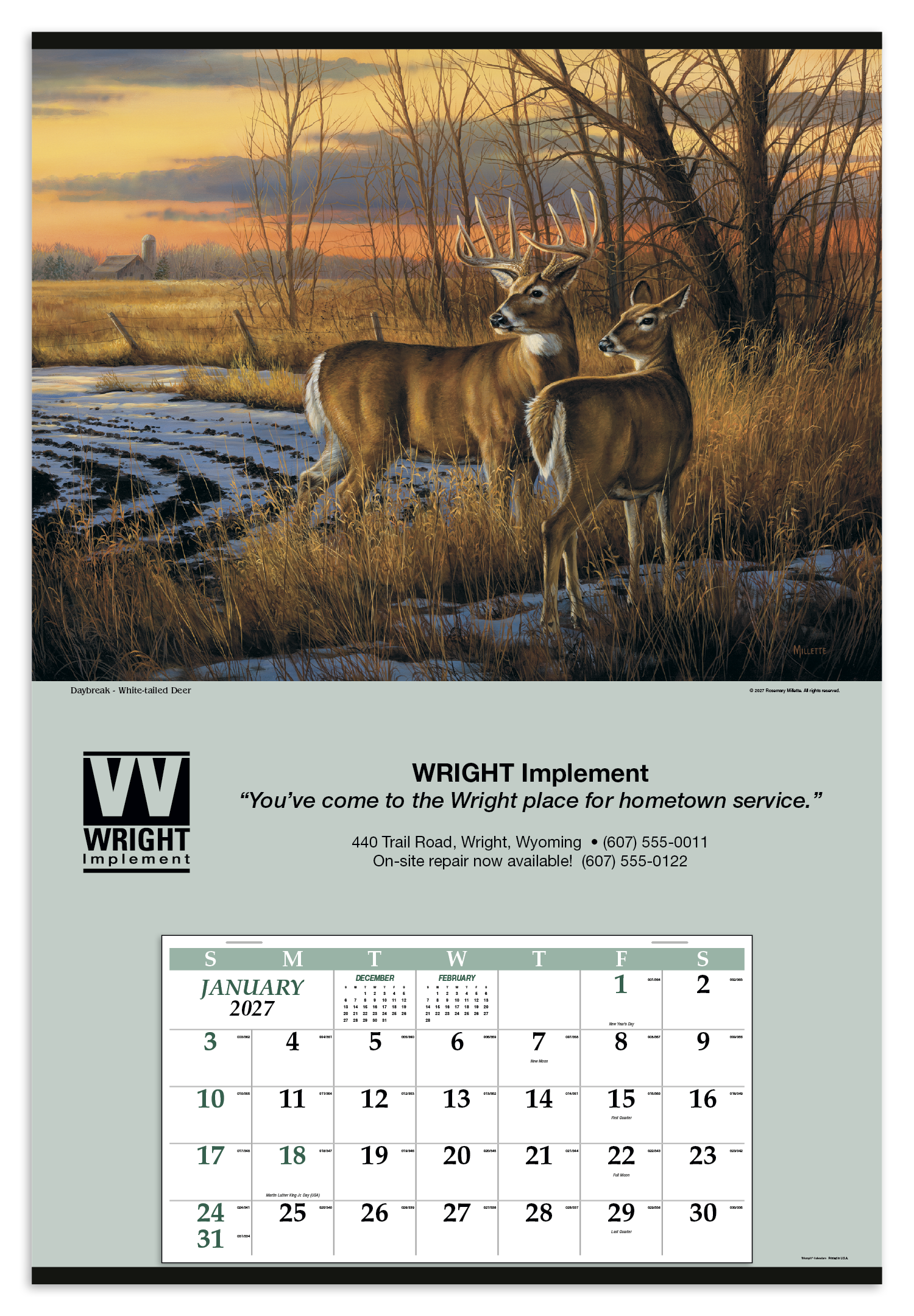 Triumph® Calendars Jumbo Hanger (12-Month) Calendar 59