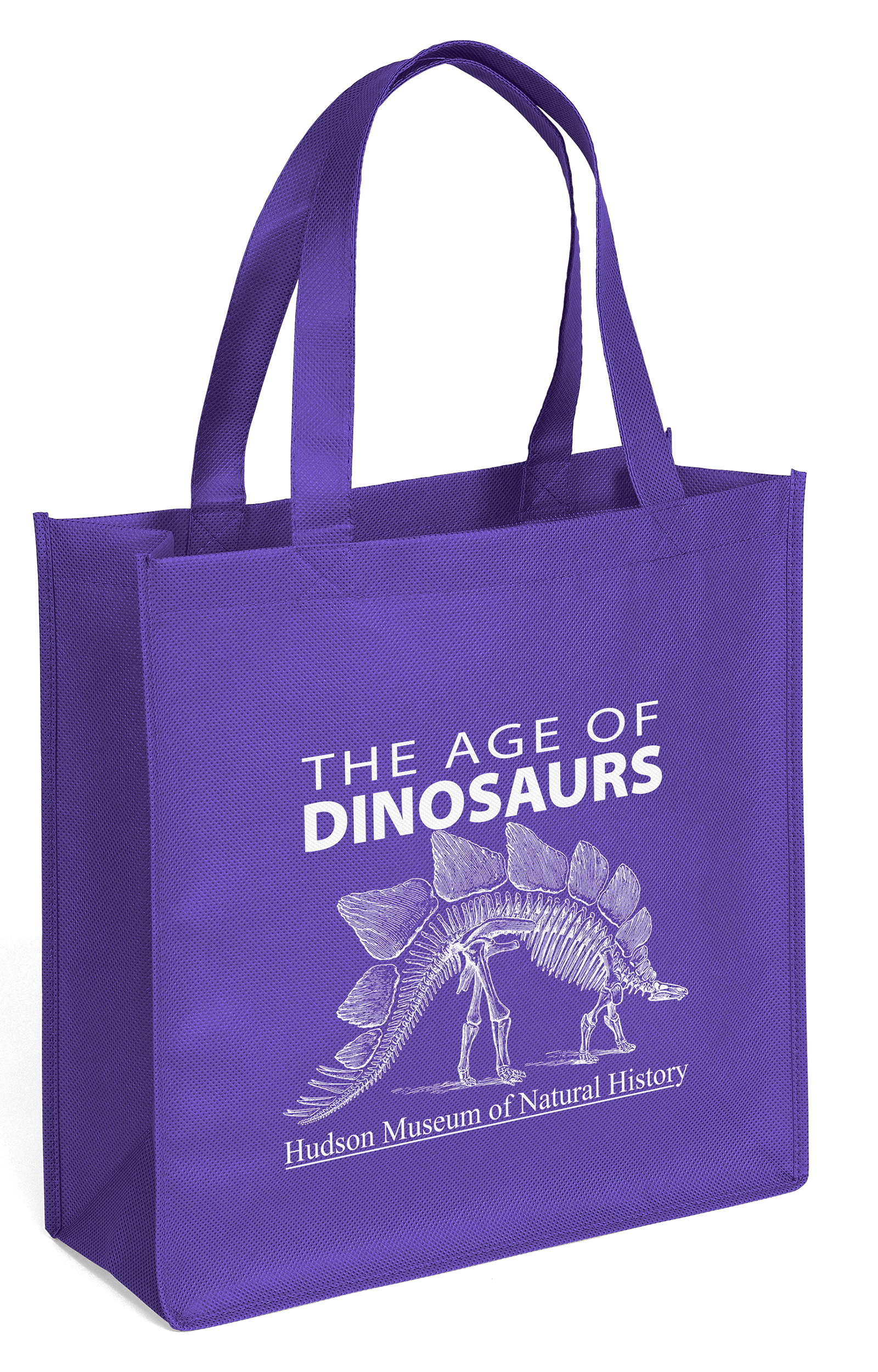Abe - Celebration Tote - Screen Print 27