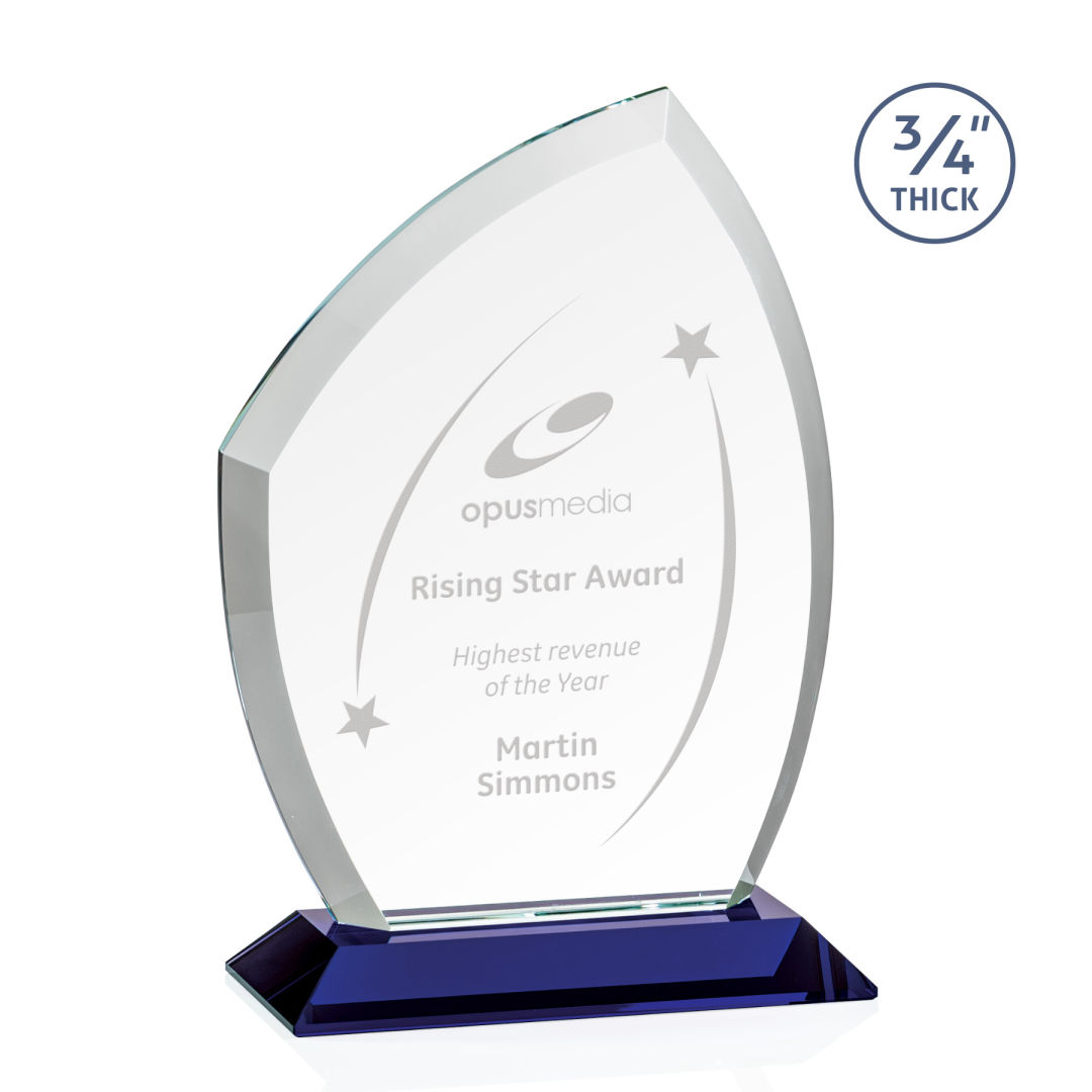 Daltry Award - Blue 3