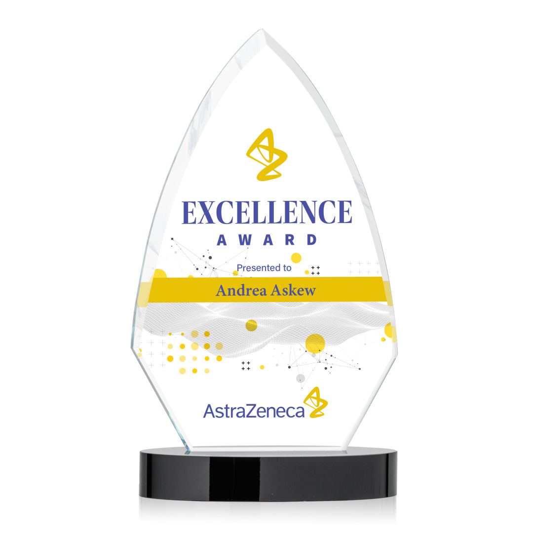 Idaho VividPrint™ Award - Black 5