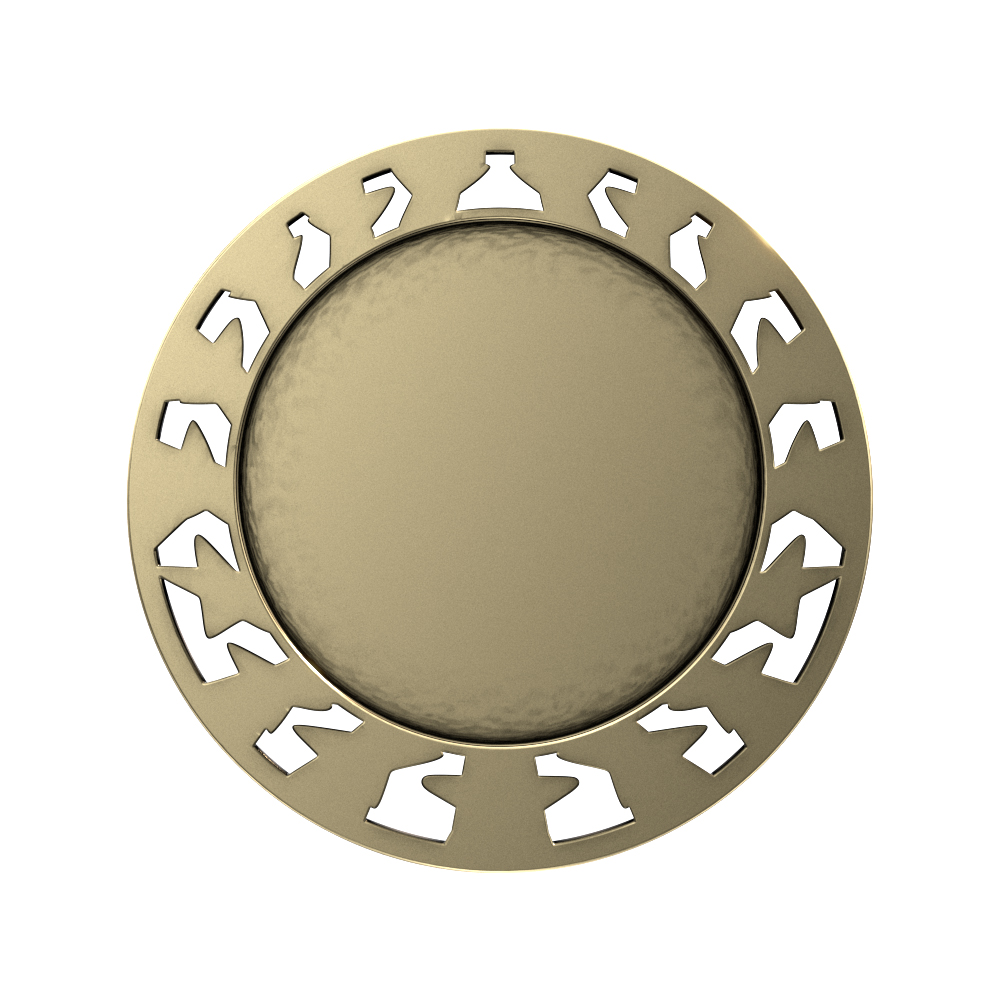 Swimming Star Medallion (2-1/2") 4