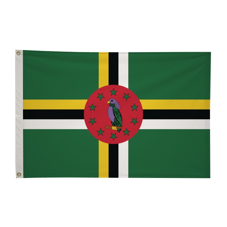 2' x 3'International Flag 195