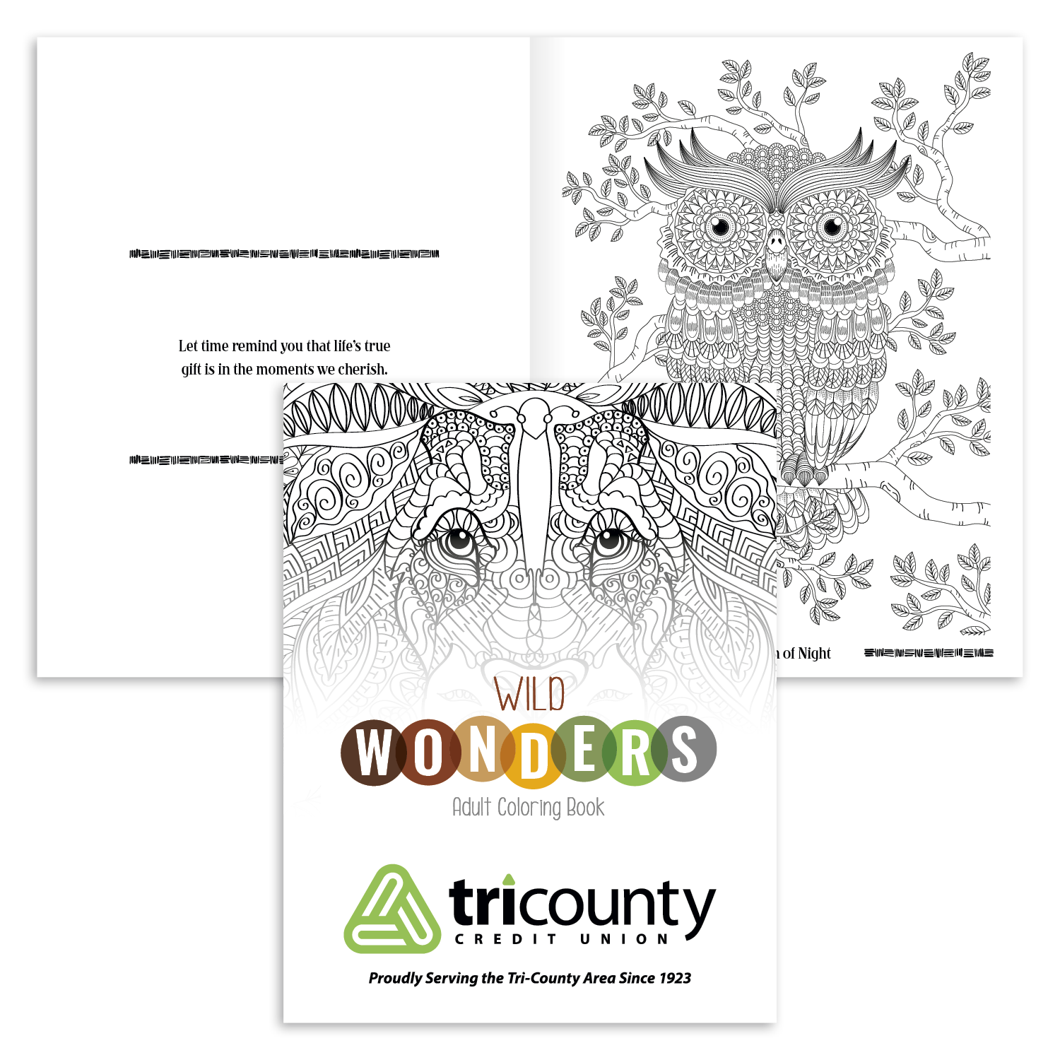 Good Value™ Wild Wonders Adult Coloring Book 10