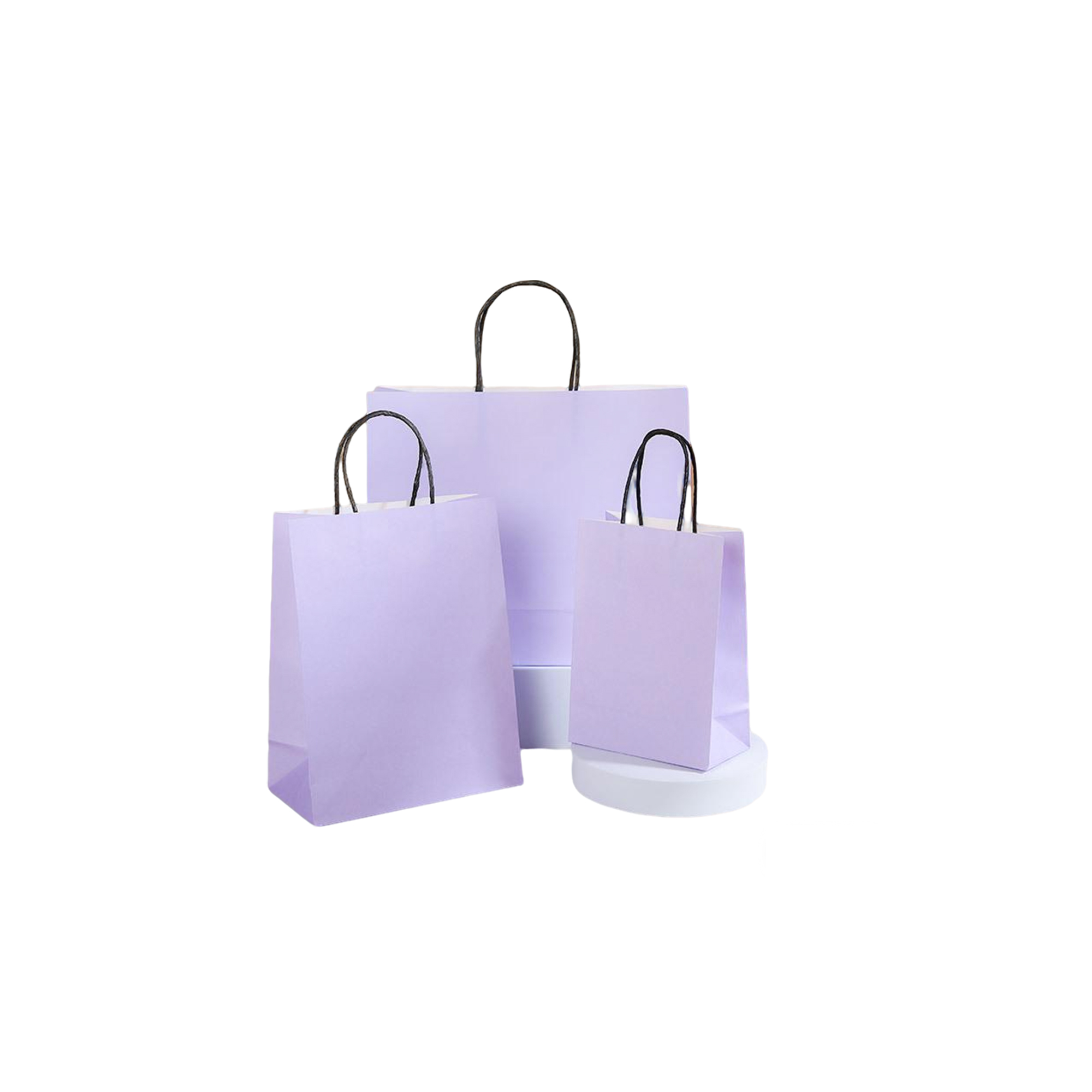 Ink Absorbent Paper Shopping Bag With Twisted Handle 6 x 3.15 x 8.25" 9