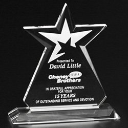 Guardian Award 7