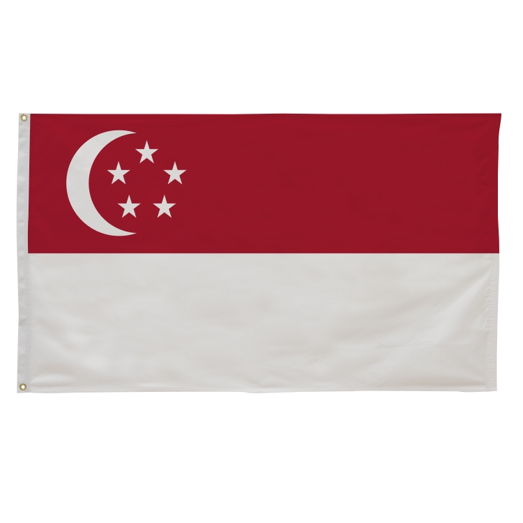 3' x 5' International Flags 99