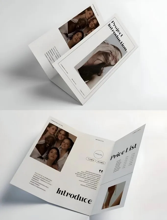 Tri-Fold Brochure 12