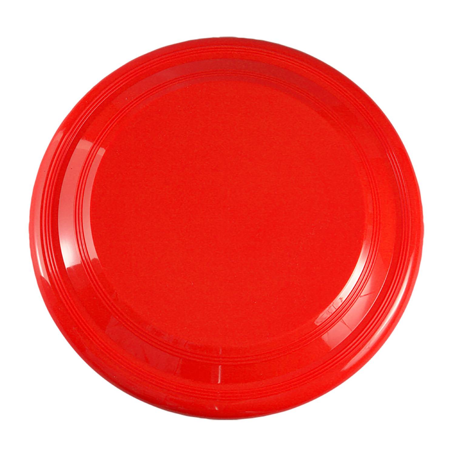 9 inch Flying Disc 14
