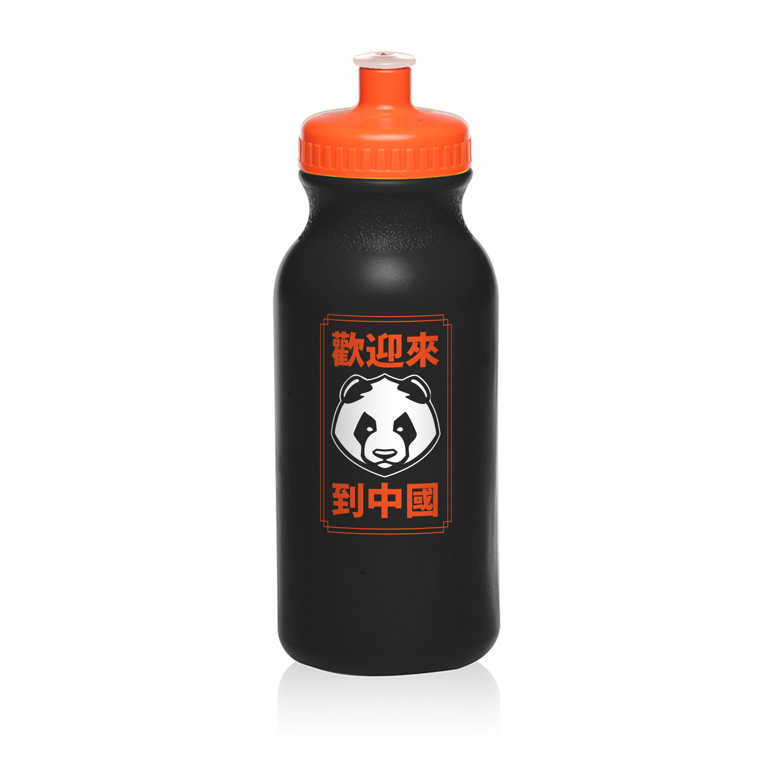 20 oz. Spirit Sports Water Bottle (1 Color Imprint) 21