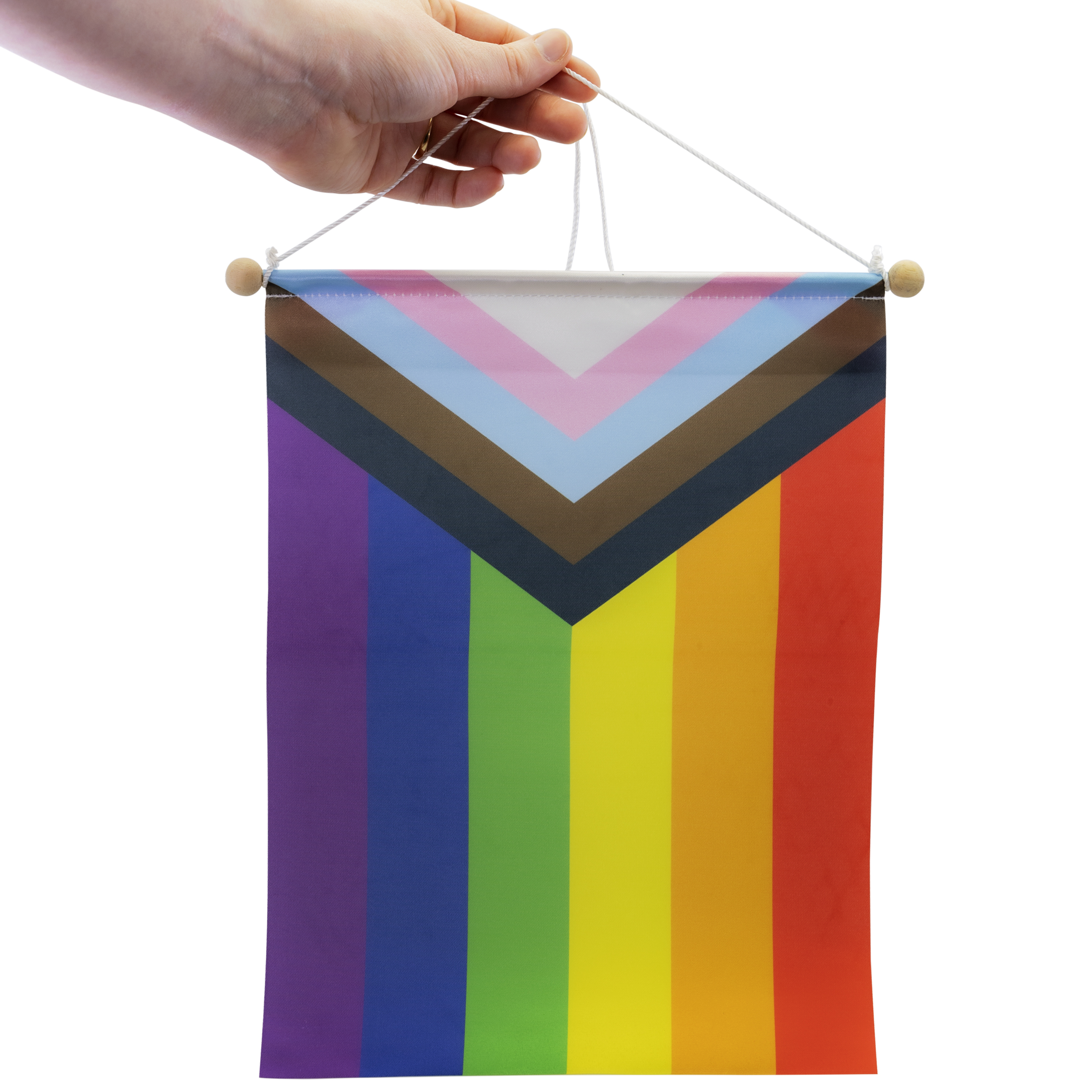 Rainbow Pride Banner 5