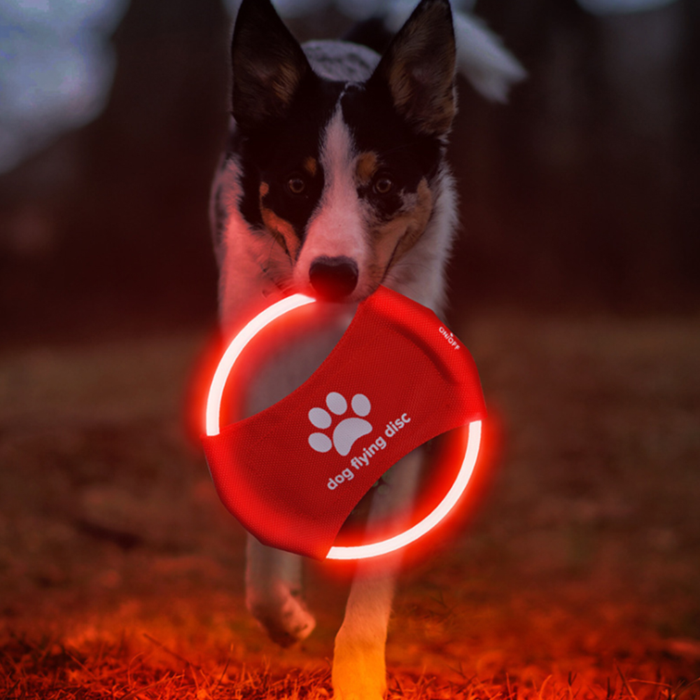 Pet Frisbee Glows on USB Charge 2