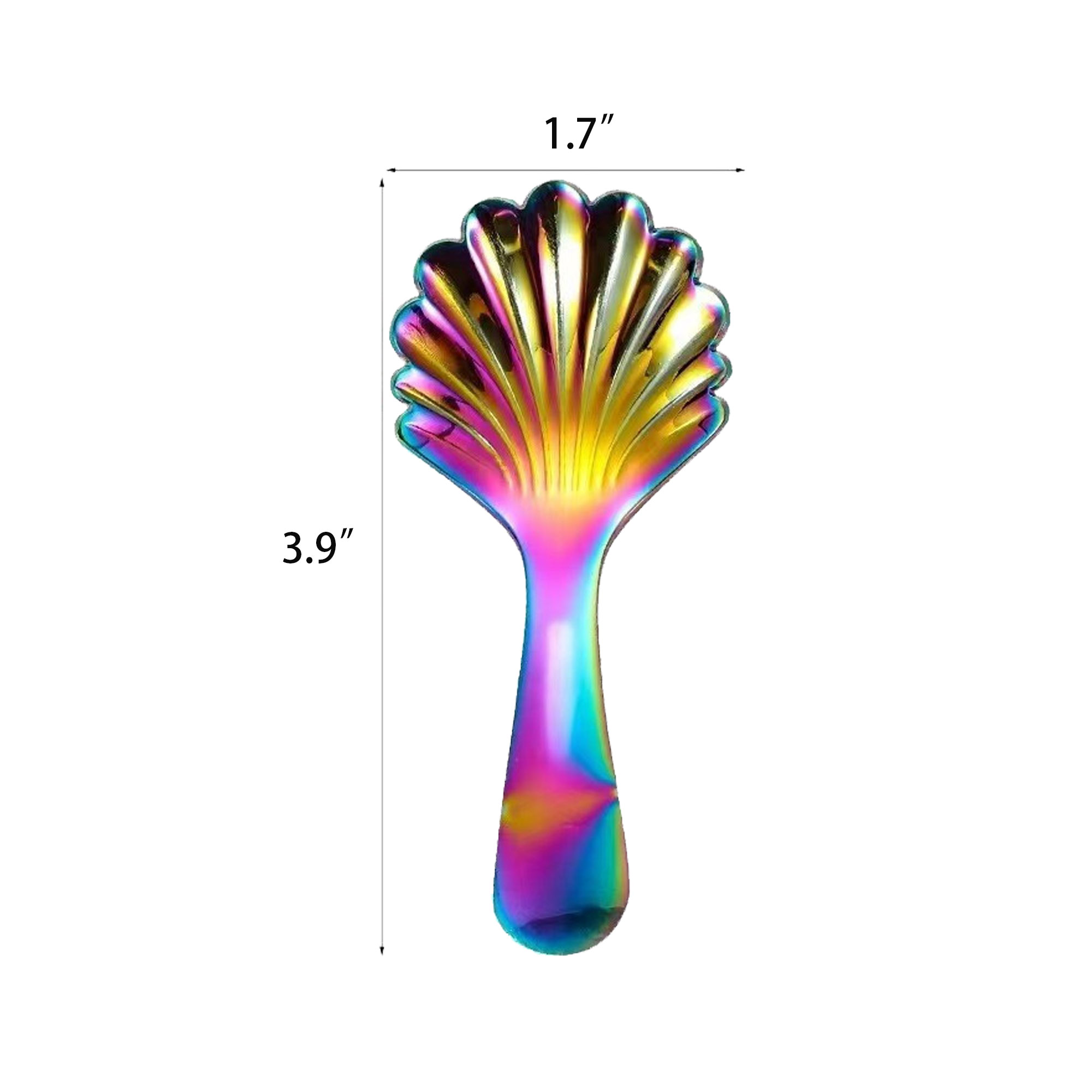 Rainbow Shell Short Handled Shell Spoon 2