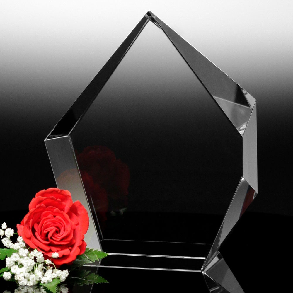 Larsmont Award 10