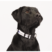 Full Color 1" Wide Adjustable Pet Collar 16