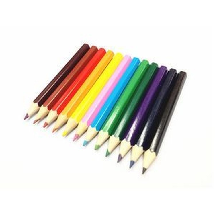Professional Artist Colored Pencils 2