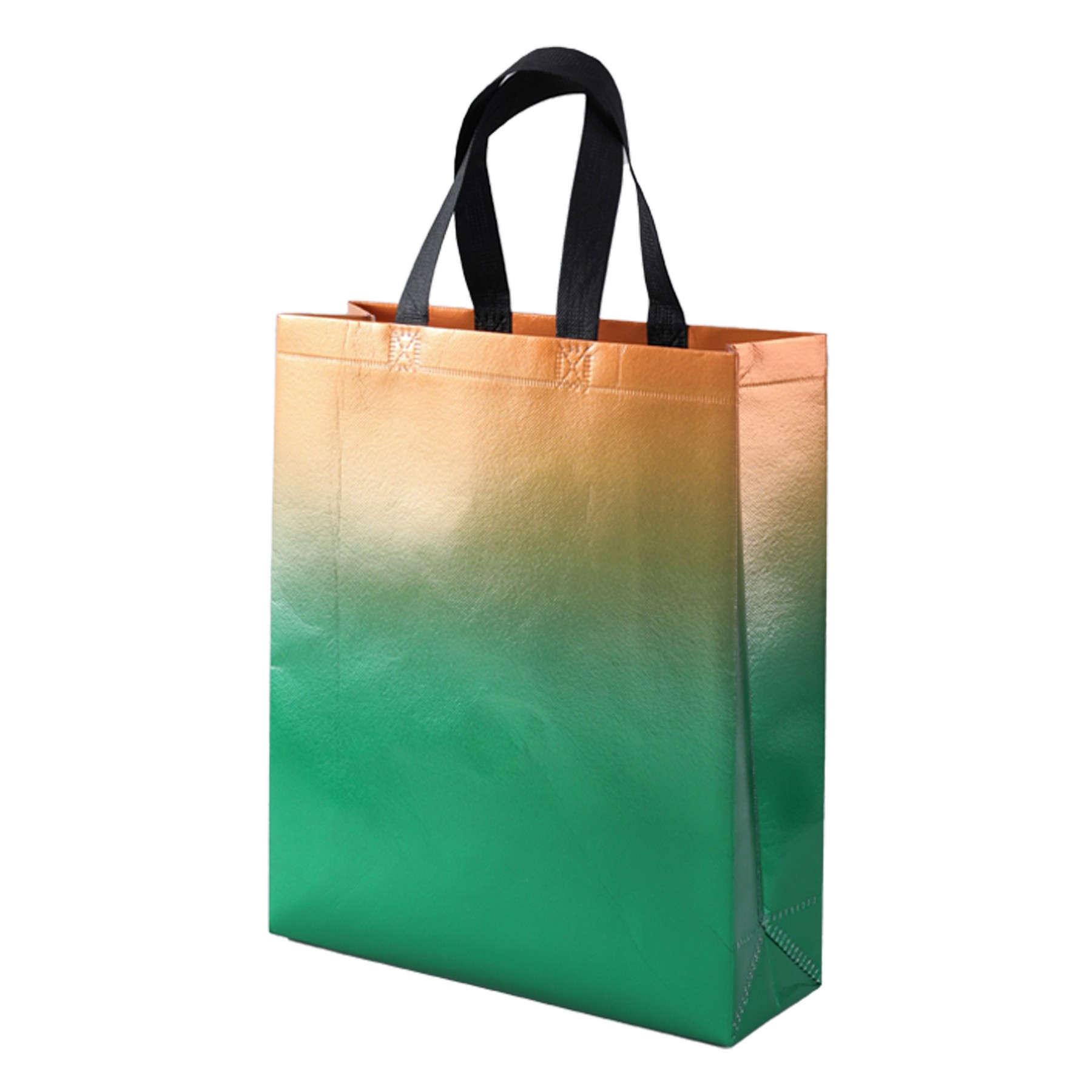 Gradient Laminated Gift Bag 2