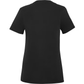 American Giant Classic Cotton V-Neck T - Women's 31