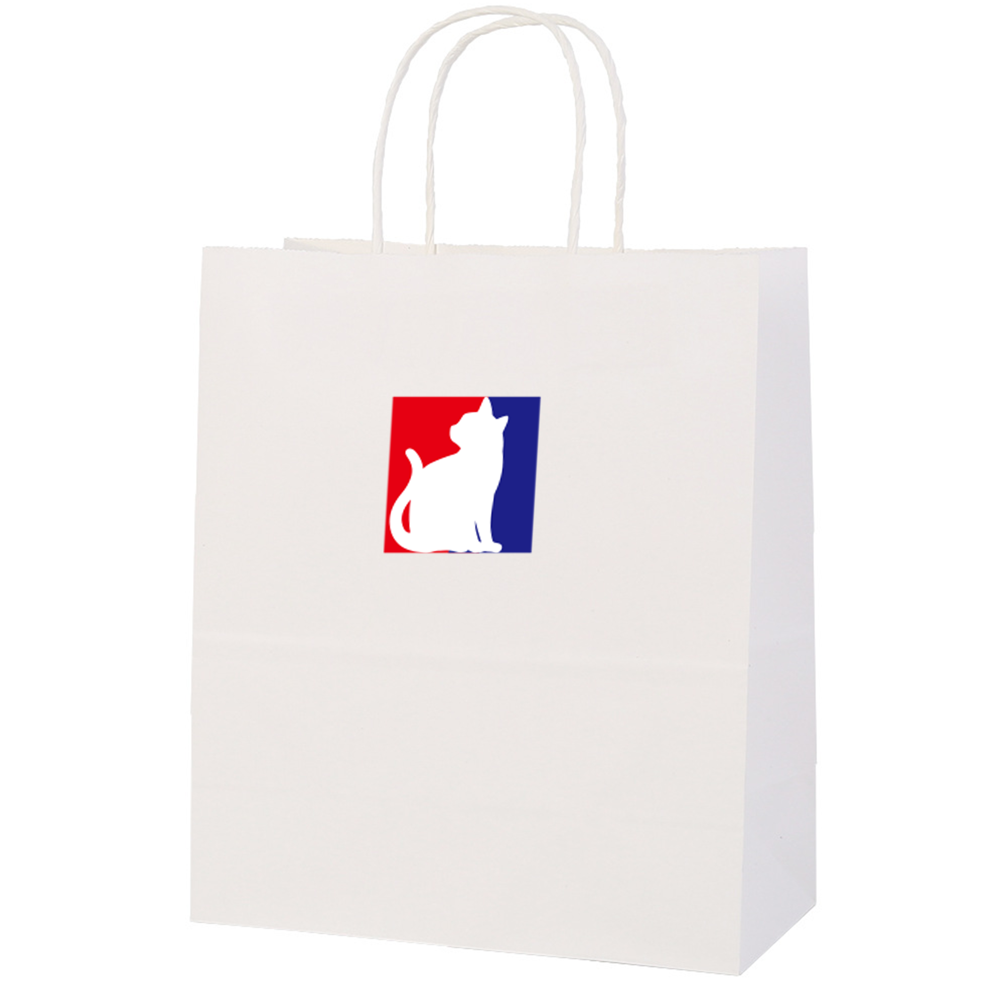 Custom Kraft Paper Bag - Handles, Eco-Friendly 1