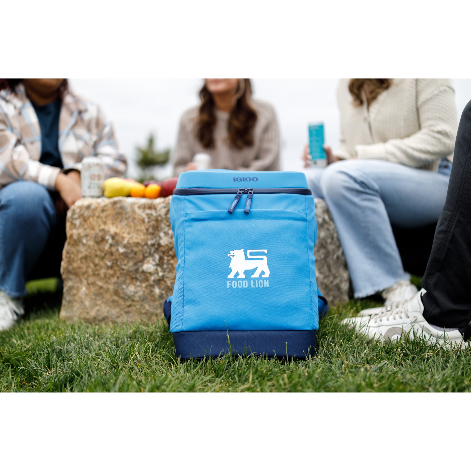 Igloo® Day Chiller Backpack 24 Can Soft Cooler 29