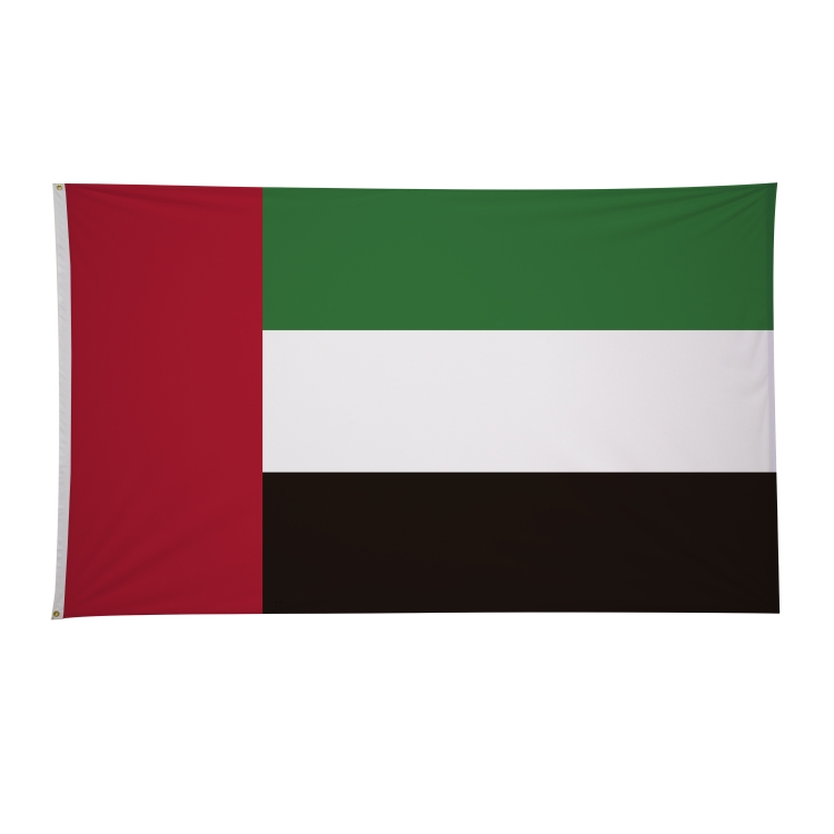 6' x 10' International Flags 28