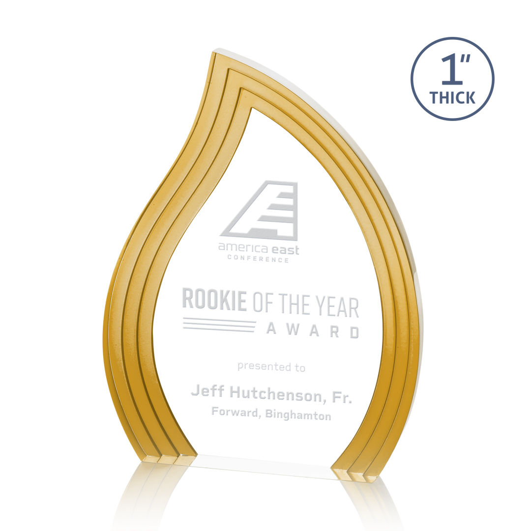 Tidworth Blaze Award - Gold 12