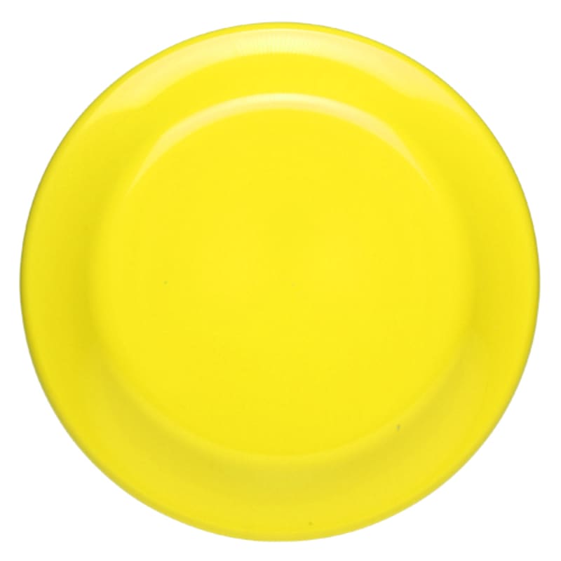 9.25" Custom Flying Discs 20